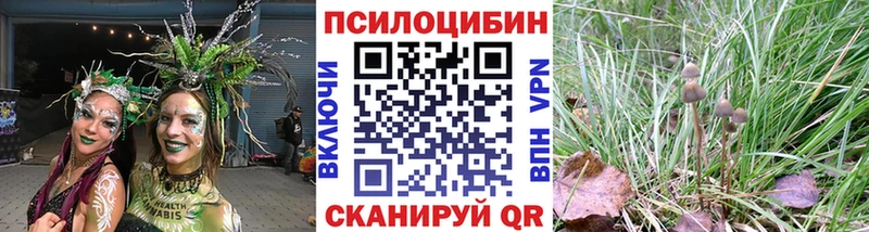 Купить где  Котельнич  Псилоцибиновые грибы Psilocybine cubensis 