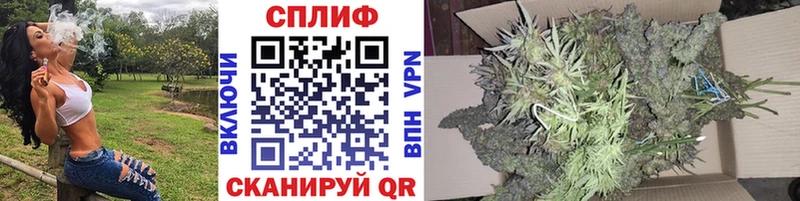 Шишки марихуана MAZAR  Купить  Котельнич 