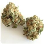 Шишки "White Widow"  (Белая вдова)  Гидропоника -  Бошка VHQ в Котельниче