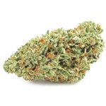 Шишки OG Kush  (Гидропоника, бошки) VHQ в Котельниче